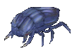 Escarabajo.gif