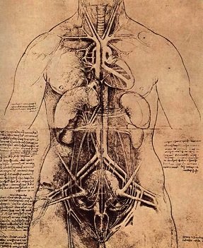 File:Anatomy.jpg