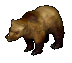File:Osogrizzly.gif